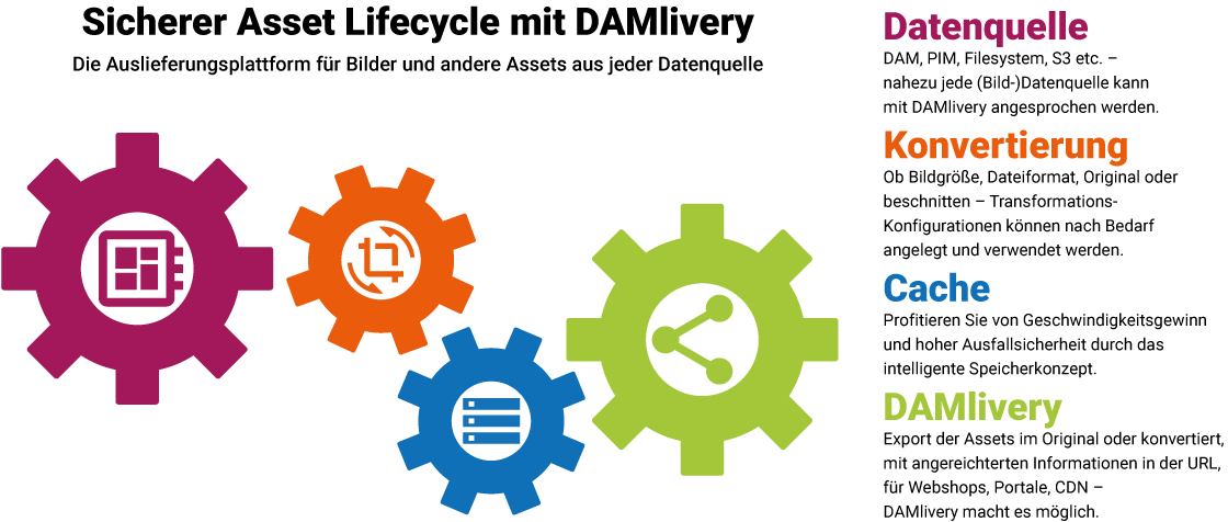 DAMlivery Infografik deutsch