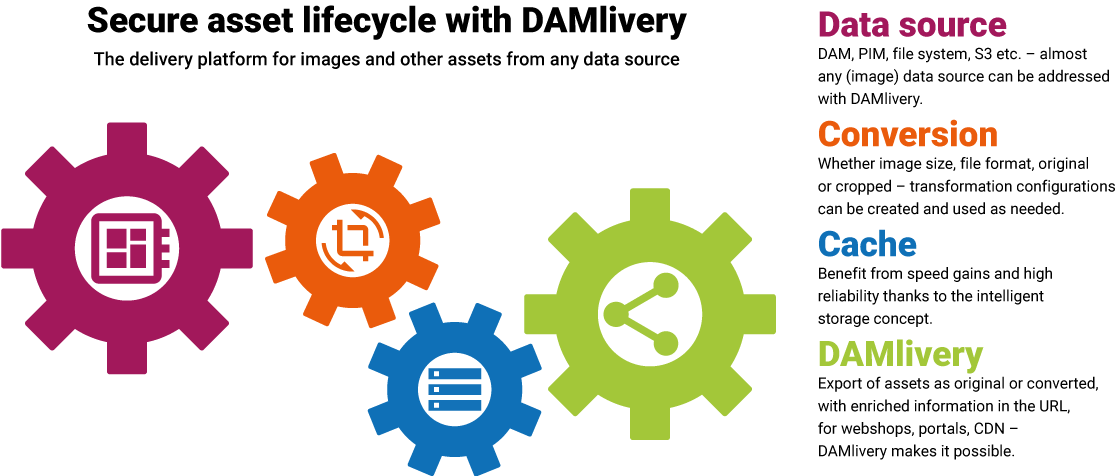 DAMlivery infografic english