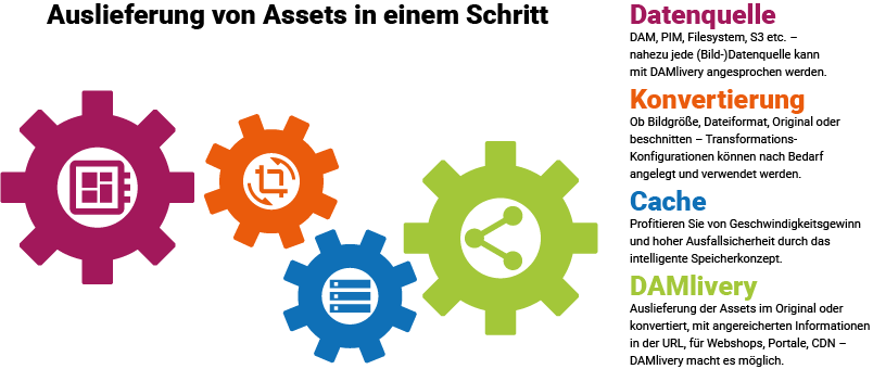 DAMlivery Infografik deutsch