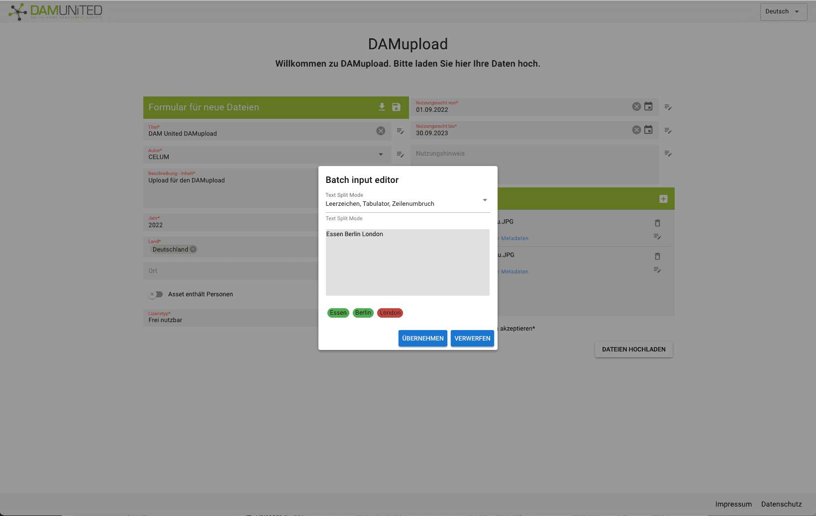 DAM United DAMupload – Batch Input Editor