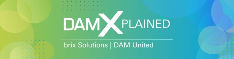 Webinar-Reihe mit brix: Sprechen wir über den rosa DAM-Elefanten